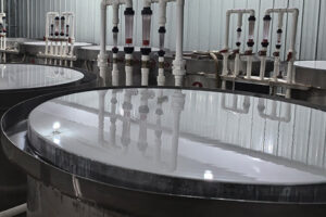 صفحه اصلی  -4-